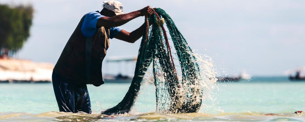 a1-fisheries